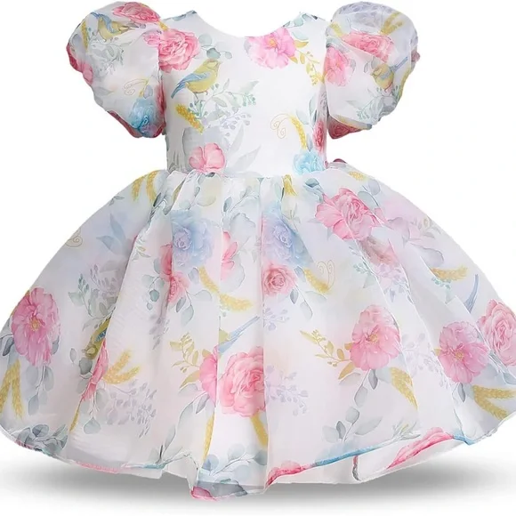 sachin and babi light blue dress Fairy Dresses – The Fairy Shop main image 0